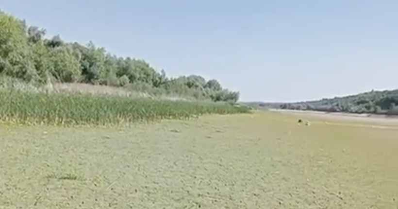 На Хмельниччині та Буковині обмілів Дністер: у Держводагентстві пояснили, що відбувається