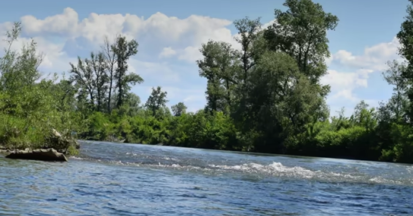 На берег Тиси винесло тіло десятого від початку травня потопельника