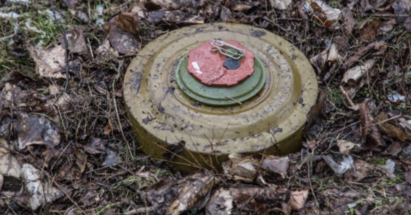 У Миколаївській області чоловік підірвався на ворожій міні