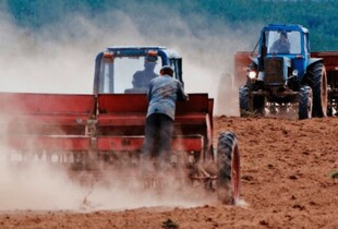 Працівники агросектору отримають бронювання від мобілізації на рік, - Мінагрополітики 