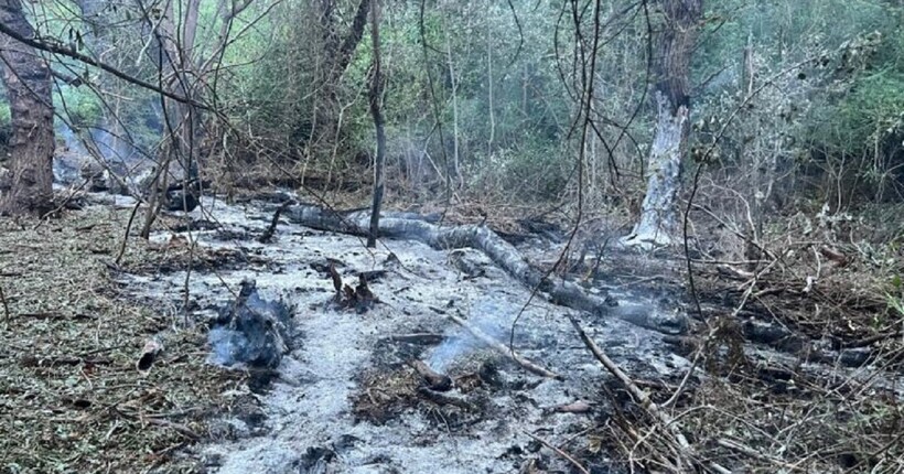 З'явились кадри наслідків падіння російських 