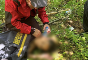 На Львівщині знайшли дитину, яка зникла ще тиждень тому