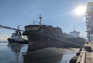 Росіяни саботують роботу зернового коридору: Братчук розповів, як нині працюють українські порти&nbsp;