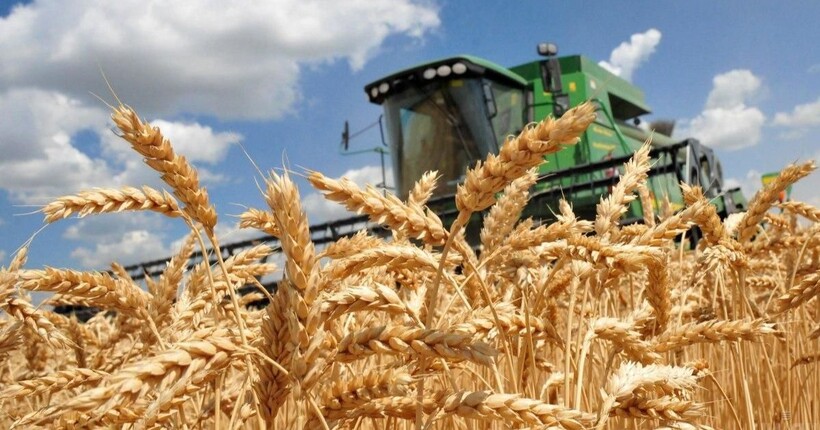 Українські аграрії вже намолотили 57,2 млн тонн зернових та олійних культур