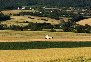 Земельна корупція на Закарпатті: двоє осіб підозрюються у підробці доказів у справі продажі за безцінь землі