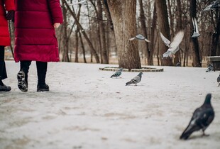 Туман, без опадів: синоптик спрогнозувала погоду на вихідні
