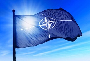 НАТО переживає кризу, а росія зацікавлена у дестабілізації Альянсу - Мусієнко