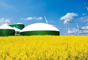 Український біометан може витіснити російський газ з ринку ЄС -  Міненерго