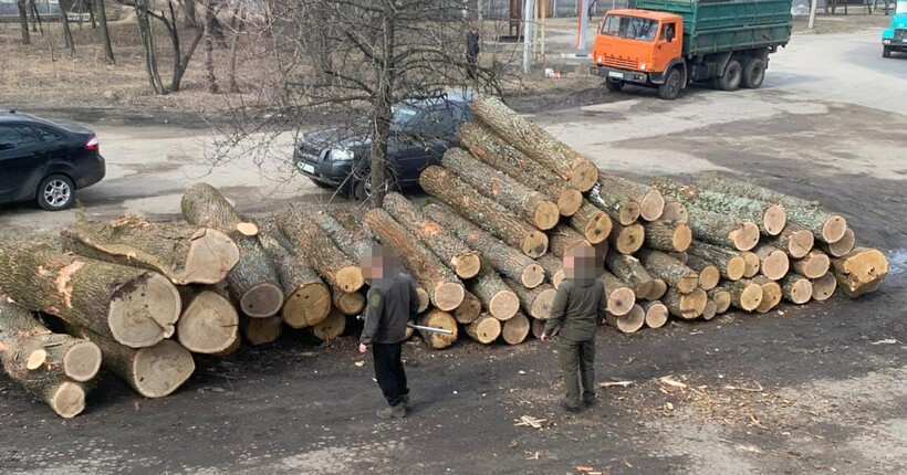 Збитки державі на майже 11 млн грн: на Сумщині судитимуть посадовців лісгоспу