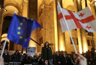Грузинська опозиція заявила, що не визнає майбутні президентські вибори