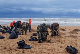 Берег в мазуті, під загрозою дельфіни: що відомо про наслідки аварії танкерів у Керченській протоці