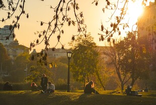У Києві 2024 рік став найтеплішим за увесь час спостережень