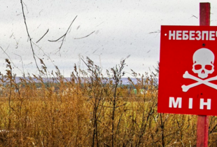 В Херсонській області двоє чоловіків підірвались на міні окупантів: обоє загинули на місці 