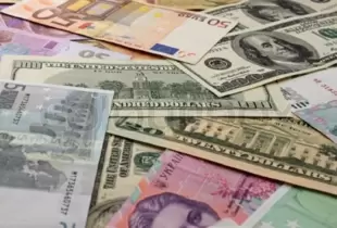 Найближчі 3-6 місяців гривня буде стабільною, - член ради НБУ