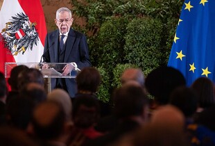 У Європи не вистачає засобів для боротьби з пропагандою рф - президент Австрії
