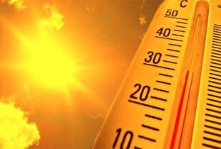 Київ встановив два температурні рекорди: +7,4°C та аномальне тепло