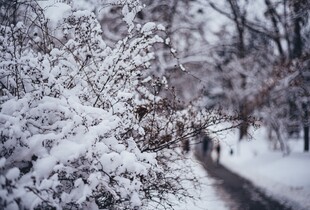 Прогноз погоди на 5 лютого: невеликий сніг і температура близько 0°C