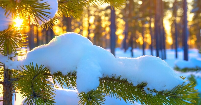 Прогноз погоди на 17 лютого: сніг, ожеледиця та морози до -18°