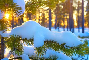 Прогноз погоди на 17 лютого: сніг, ожеледиця та морози до -18°
