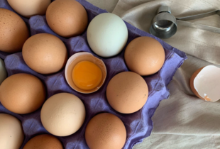Яйця не будуть псуватися цілий рік: як зберігати продукт правильно