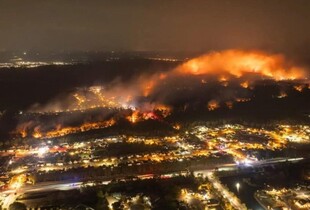 Лісові пожежі охопили США: у Південній Кароліні оголосити надзвичайний стан