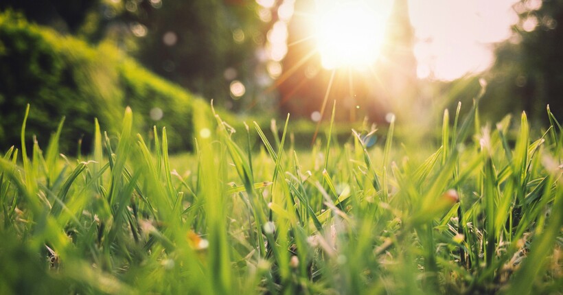 Прогноз погоди на 8 березня: сонячна та тепла погода з температурою до +20°C