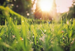 Прогноз погоди на 8 березня: сонячна та тепла погода з температурою до +20°C