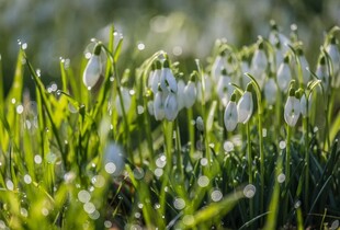 Останній холодний день перед потеплінням: прогноз погоди на 19-20 березня