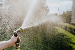 Економія води на городі — лайфхаки для раціонального поливу