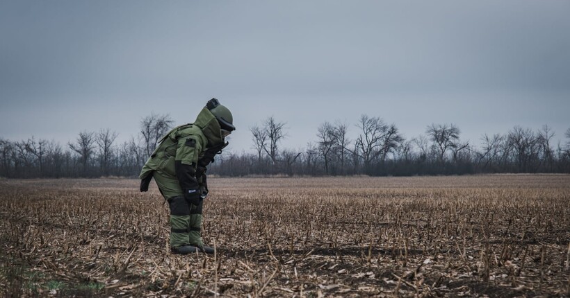 Розмінування Донеччини: піротехніки знищили вибухонебезпечні предмети у двох районах