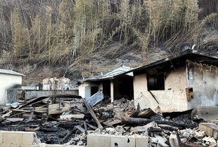 Лісові пожежі у Південній Кореї: влада оголосила три нові зони лиха