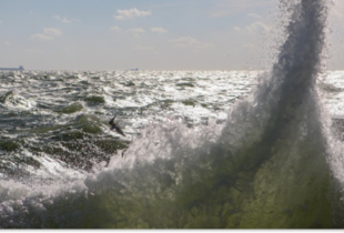 ВМС України: У Чорному та Азовському морях не виявлено російських бойових кораблів
