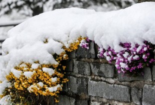 Коли в Україну прийде тепло: прогноз погоди від Наталки Діденко