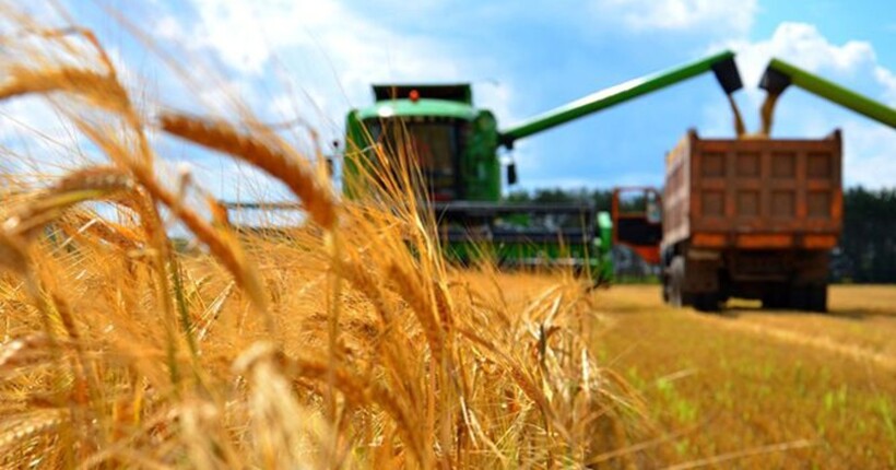 Україна відправила понад 280 000 тонн продовольства до країн Африки та Близького Сходу