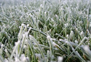 Прогноз погоди на 13 квітня: очікуються нічні заморозки та тумани