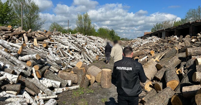 Три угрупування постануть перед судом за розкрадання понад 15 млн грн на закупівлі деревини для ЗСУ