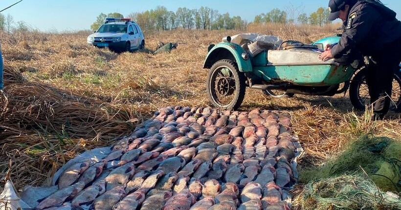 На Черкащині правоохоронці затримали браконьєрів із рибою на понад мільйон гривень збитків