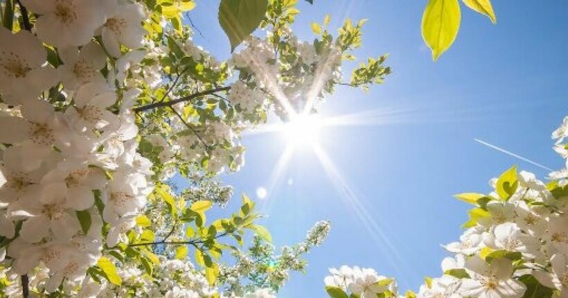 Сонце, дощ і до +26°C: прогноз погоди на 23 квітня