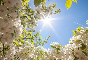 Сонце, дощ і до +26°C: прогноз погоди на 23 квітня