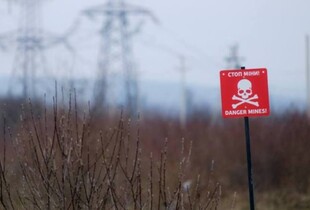 В Харкові лишаються заміновані ділянки в лісосмугах та на кладовищах - Терехов