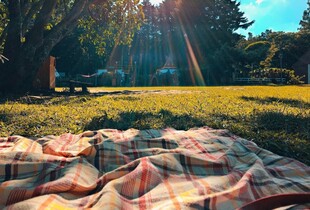 Можливі опади, до +24°C: прогноз погоди на 1 травня