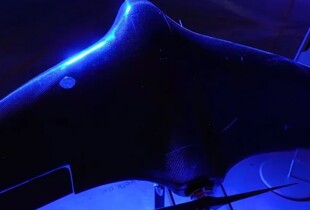 Власні "Ланцети" і "Мавіки", дрони-перехоплювачі і лазери - які розробки з'явились завдяки Brave 1