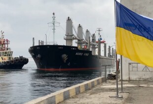 Український агроекспорт здорожчав до $432 за тонну: топ країн-імпортерів