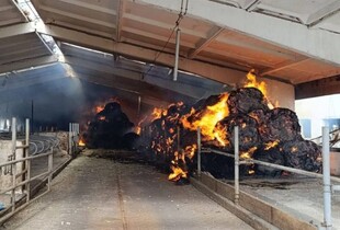 Армія рф обстріляла Харківську область: є жертви