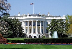 Трамп планує провести бій UFC у Білому домі