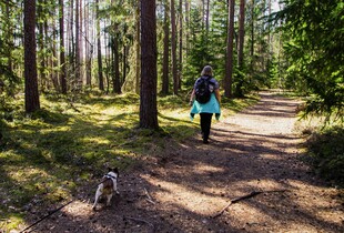 Як вечірня прогулянка допомагає спати, як немовля: несподіване дослідження