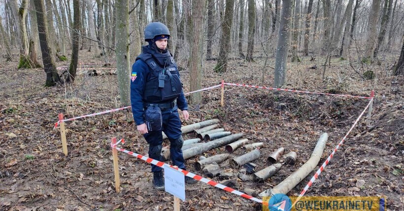 В Черкаській області ДСНС розчищає лісосмуги від російських боєприпасів, які розлетілися від удару на 30 км