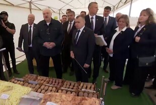 Лукашенко їде в Китай з подарунками: даруватиме Путіну і Сі "по три мішечка" картоплі (відео)