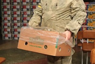 НАБУ і САП завершили розслідування по справі у розкраданні понад 700 млн грн на закупівлях продуктів для ЗСУ