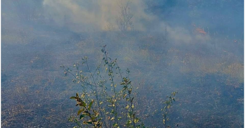 Російські безпілотники атакували Чернігівщину: пошкоджено інфраструктуру та підприємство